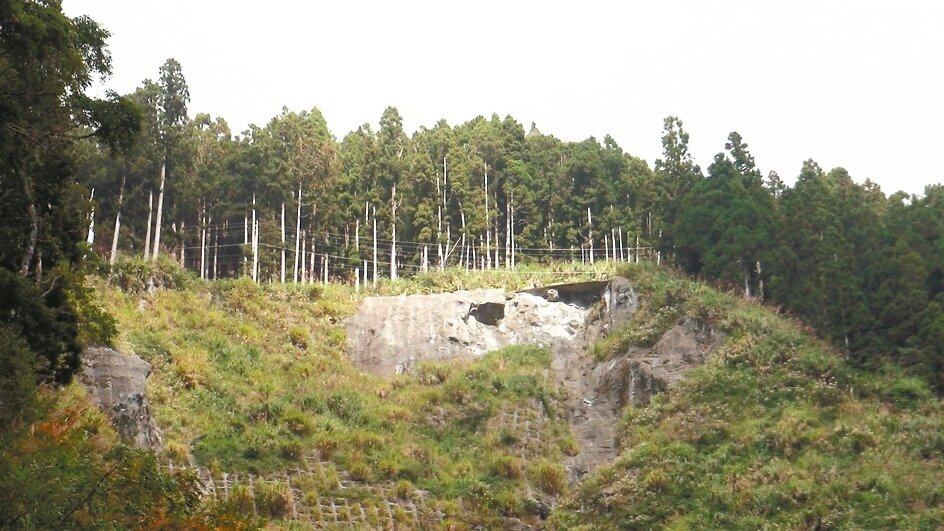 飯包服山北邊大崩塌即是二萬坪車站，南邊的大崩塌就在阿里山公路旁，復育6年多來持續有崩塌發生。 記者謝恩得／攝影