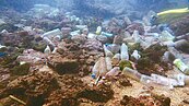 基隆和平島　驚見「寶特瓶海」