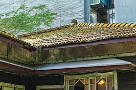 厚實的青苔恣意的在屋瓦上蔓延，白色的新屋瓦則透露著重生的氣息。