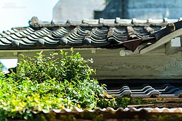 青田街 麗水街 街景 公寓 門窗 日式房屋 教會 伊斯蘭 回教