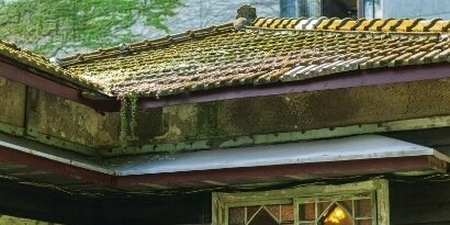 台北文青一小時—青田街周邊散策