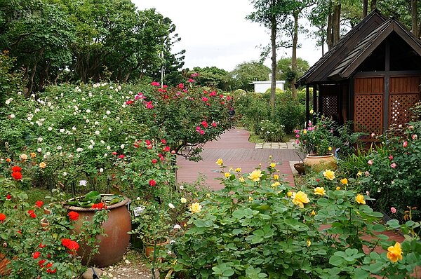 臺北玫瑰園-秋季玫瑰展 花博