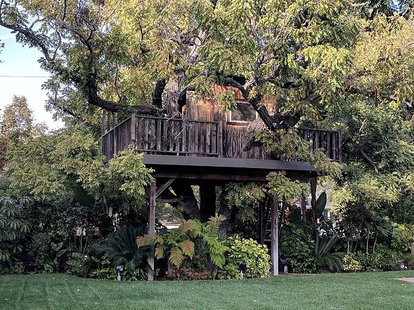 費城融合隊的宿舍有樹屋。(圖片擷取自推特)