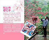 烏來坪林悄現「櫻」　為「新北群櫻會」揭序幕