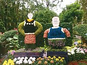 士林官邸菊展　電影場景布新菊