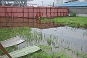 基隆「北站濕地」　市府：1個月內改善