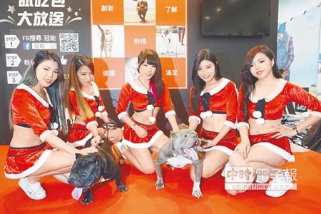 高雄寵物用品展請來5位耶誕女郎，手牽百萬名犬「異種惡霸犬」亮相。（柯宗緯攝）