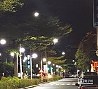 LED加劇光害　議員催立法