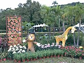 菊展開嘜啦！　9電影場景等「明星」入鏡