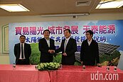 搶綠能市場　林邊農地3公司聯手