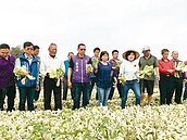 北農又休3天！不堪低價　菜農耕鋤