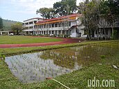 全台最小的稻田年產稻米20公斤　天天陪伴學童長大