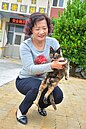 流浪貓變社區守護神　她這個作法改變人貓對立　　