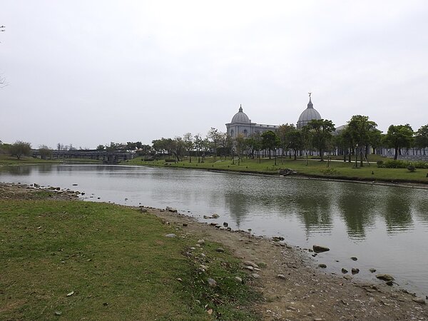 台南都會公園滯洪池 (奇美湖)也傳有綠鬣蜥出沒。記者吳淑玲/攝影