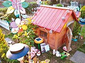 闢寵物樹葬區　中市投縣不同調