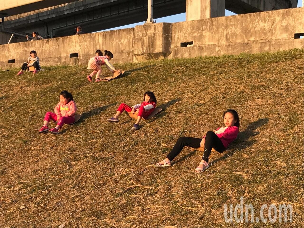 大台北都會公園的河堤土坡竟成滑草道,小朋友將紙箱拆開變成滑草板,造成草皮光禿禿。記者陳珮琦/攝影