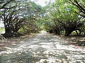 等了18年　長勝營區重劃動土