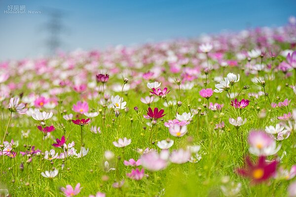 （好房網News記者張聖奕／攝影）