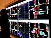 台股避風港　資金轉進金融股