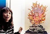拚觀光　台東珊瑚博物館開幕