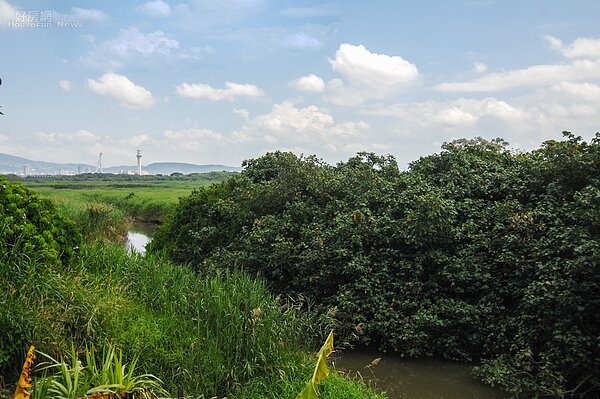 (好房網News記者張聖奕/攝影)