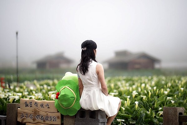 今年北市觀光局特別在竹子湖海芋田設計了10處打卡點，從花海鞦韆、告白花園到前陣子超紅的旅行青蛙，不同亮點等你來朝聖（圖／翻攝自海芋季）