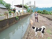 台灣濫用除草劑　我們都在慢性吸毒...