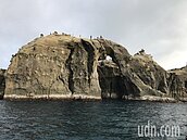 深澳電廠優先？　象鼻岩畫入保護區卡住了