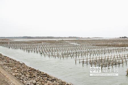 台南北門地區畫設溼地頻遭地方民眾反彈，由於中央與地方溝通不足，居民擔憂未來謀生能力將因溼地畫設而遭剝奪。（莊曜聰攝）