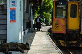 嶺腳站居民不多，當地煤礦式微後年輕人大都前往大都市就業就學，因此在這邊上下車的人，除了假日有少部分為登山客外，最多的畫面就是上了年紀的老居民利用這條鐵道進出。