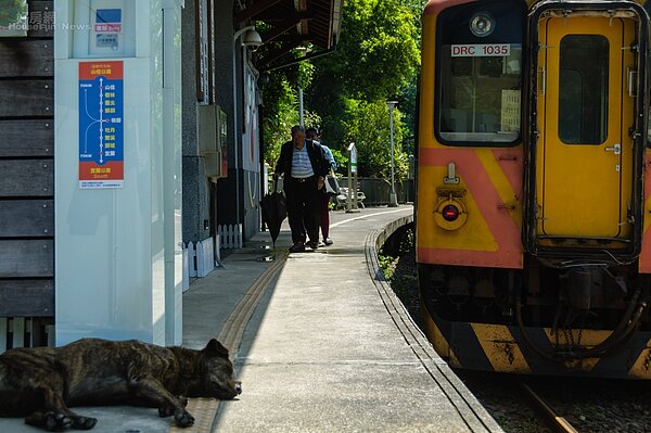 嶺腳站 平溪站 高齡化 平房 房 平溪支線 鐵道