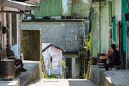 春末的中午太陽開始毒辣，老鄰居對門而坐天南地北聊起來，聊的不是政治八卦，而是生活瑣事。 