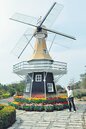 風車、鬱金香…　媽祖公園像荷蘭