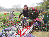 台南百花祭來囉　80萬株來爭豔