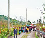 溼地電桿林立　遊客怨殺風景