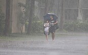 「板橋天降檸檬汁」　去年最猛酸雨好驚人