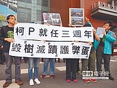 大巨蛋今移樹　民團揚言樹在人在