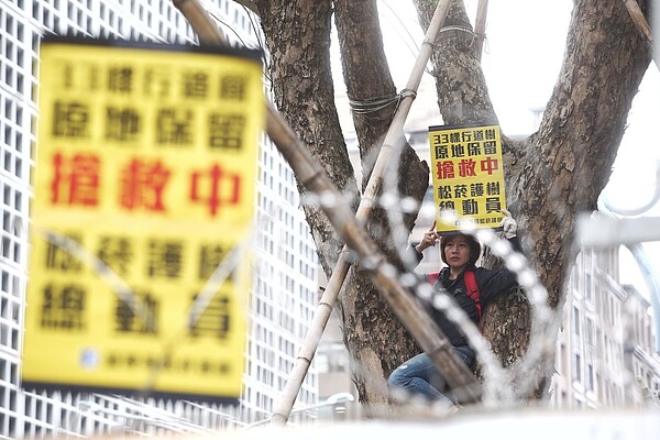 大巨蛋移樹昨進行，護樹團體肉身護樹，現場與工人發生爭執。記者程宜華／攝影 