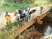 五楊高架低窪處　逢雨必淹
