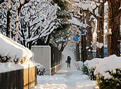 三種自然現象大亂鬥　撞出東京20年罕見大雪