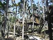 台灣怪屋／水里另類民宿　蓋在檳榔樹上你敢住？