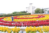 高雄區農改場年度賞花日　明天開放