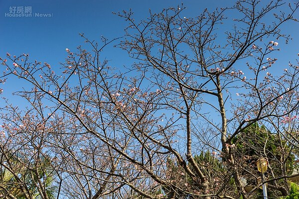 （好房網News記者張聖奕／攝影）