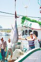 轉型休閒漁業　盼政府伸援手