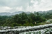 接近霸王的寒流將到　台北陽明山恐降雪