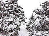 雪山積雪30公分　雪線近2000公尺
