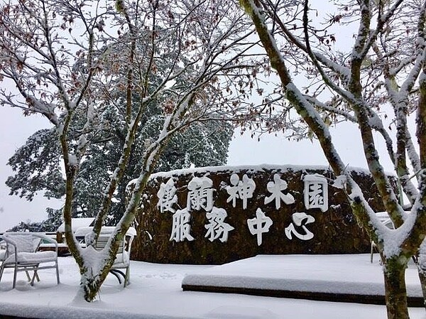 馬告生態園區內目前積雪達6公分，宛如銀白世界。圖／馬告生態園區