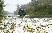 冷鎖全台！周二雨停　春節前不會再這麼冷