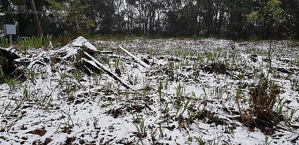 烏來下雪情景。(好房網News記者 陳韋帆/攝影)