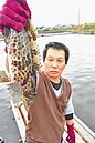 12張石斑魚保單　獲理賠